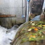 Das Treibgut der Eder wird schwallartig an der Turbine vorbei in den Fluss zurückgeleitet